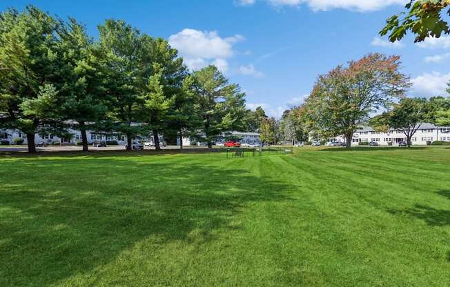 a large grassy park with trees and buildings in the backgroundat Fox Hill Commons, Vernon, CT, 06066