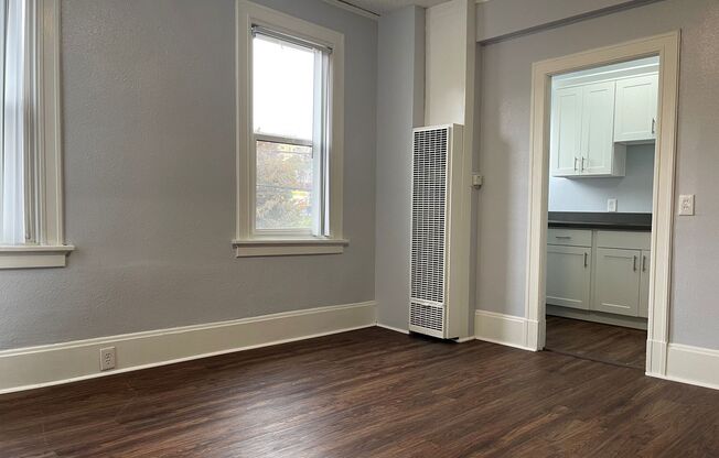 Studio, 1 bath, 350 sqft, $1,235, Unit 202