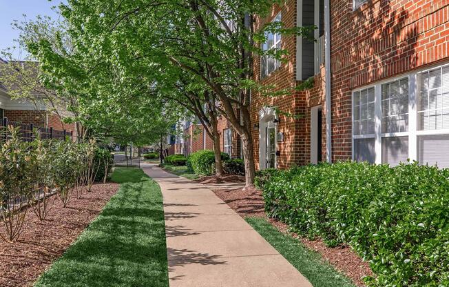 A well-maintained walkway lined with neatly trimmed bushes and trees. The path leads alongside red brick apartment buildings with bright windows, surrounded by green grass and landscaping. Sunlight filters through the leaves, creating a pleasant outdoor atmosphere.