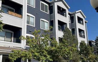 The Village at Arvada