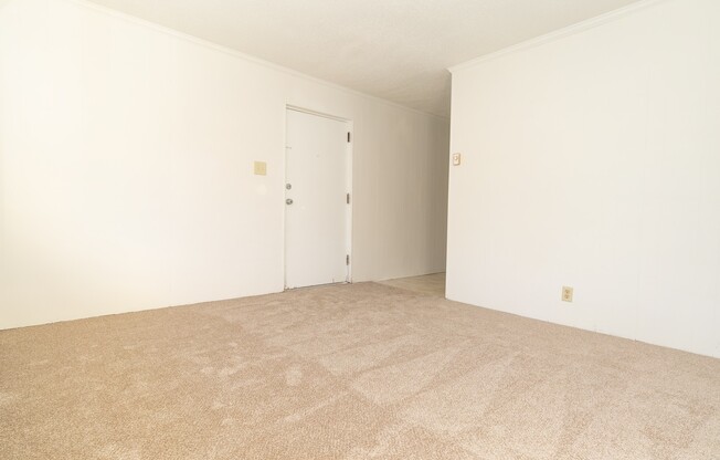 1 Bed 1 Bath Condo in Carrboro!
