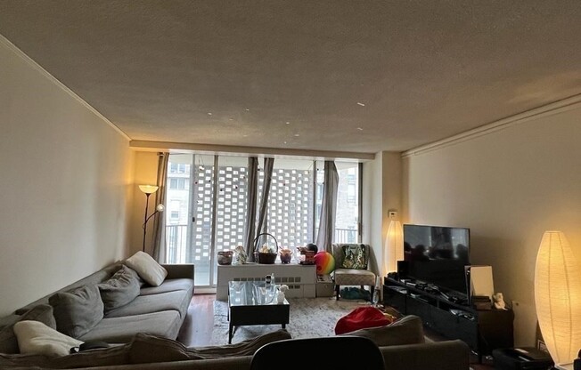 2 beds, 2 baths, 1,000 sqft, $3,900, Unit 1002