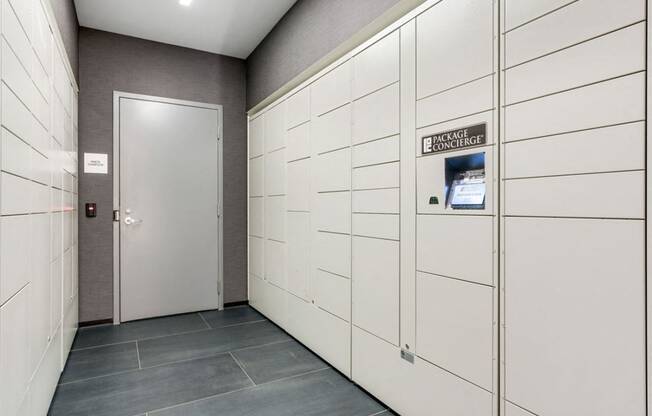 Package Concierge at One 333, Illinois