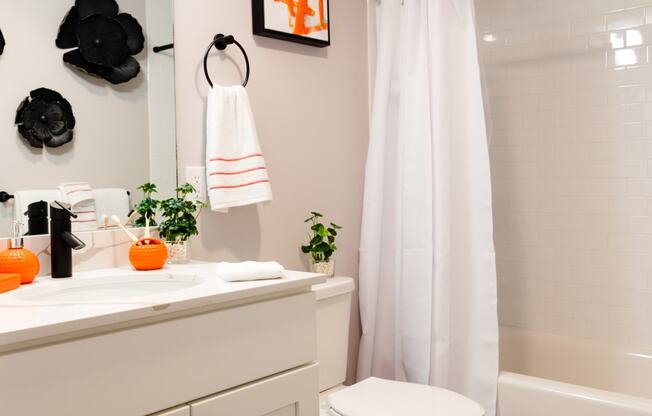 a bathroom with a toilet and a shower and a sink