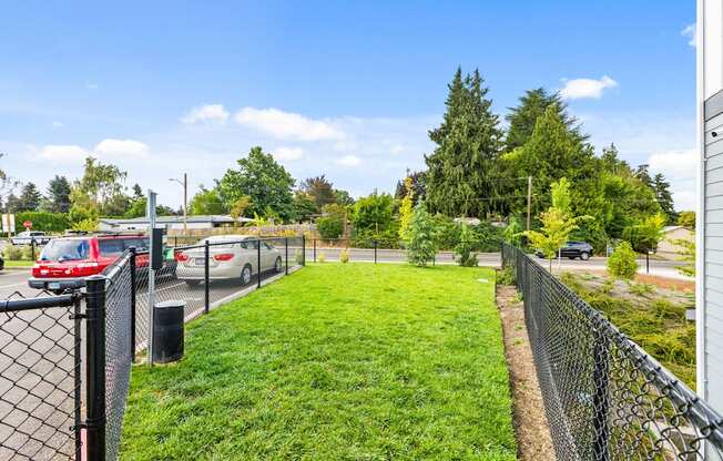 A black fence runs along a grassy area with a parking lot in the background.