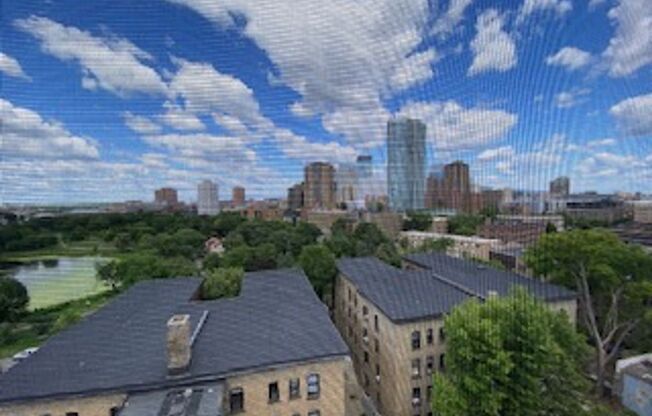 1 bed, 1 bath, 486 sqft, $1,155, Unit 316-512