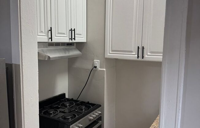 Studio, 1 bath, 300 sqft, $1,195, Unit #209