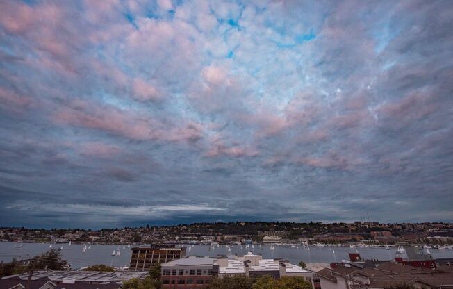 1 bed, 1 bath, 520 sqft, $1,799, Unit 221