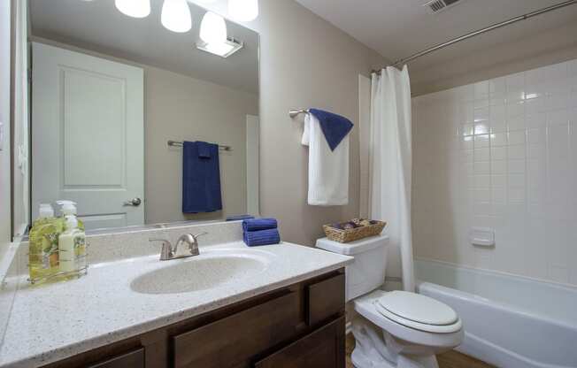 Large Bathroom with Bathtub at The Greenway at Carol Stream, Illinois, 60188