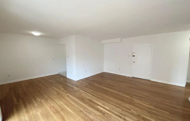 Studio, 1 bath, 518 sqft, $1,850, Unit 213