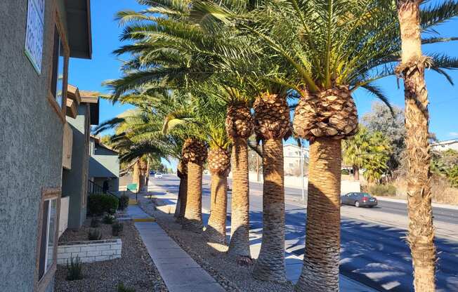 a row of palm trees in front of a building