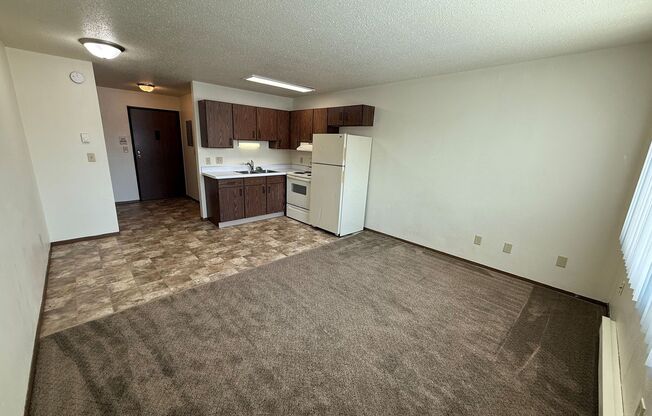 Studio, 1 bath, 300 sqft, $550, Unit 2537-15