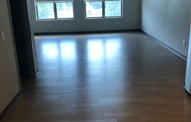 Studio, 1 bath, 734 sqft, $1,495, Unit 308