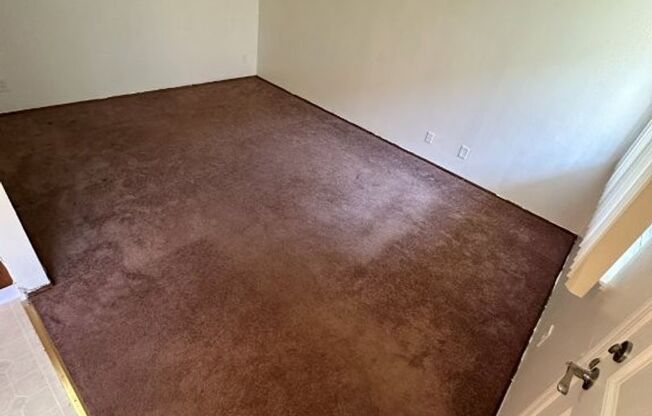 Soto 24409/APTS