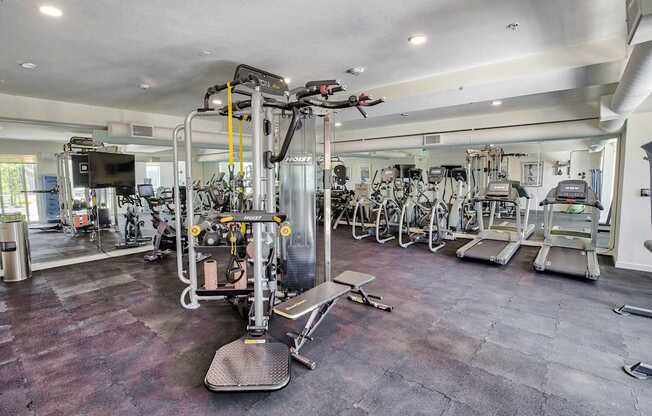 A gym with a variety of equipment including treadmills, weights, and exercise machines.at The Dillon, Los Angeles California