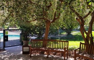 Spacious 1-bed 1-bath condo now available at Shelter Creek