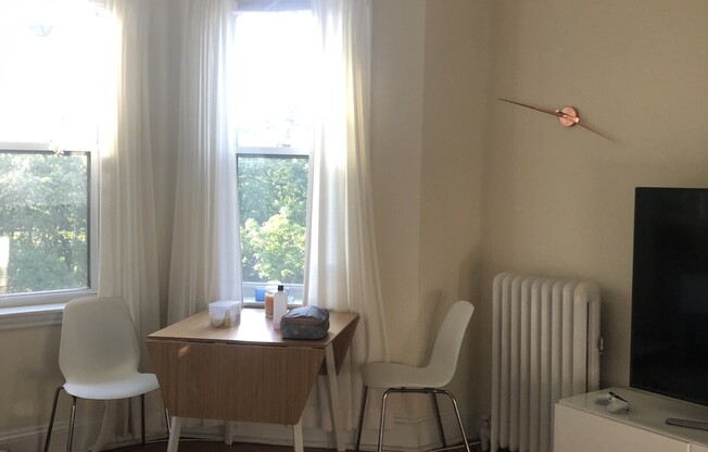 1 bed, 1 bath, $2,500, Unit 17
