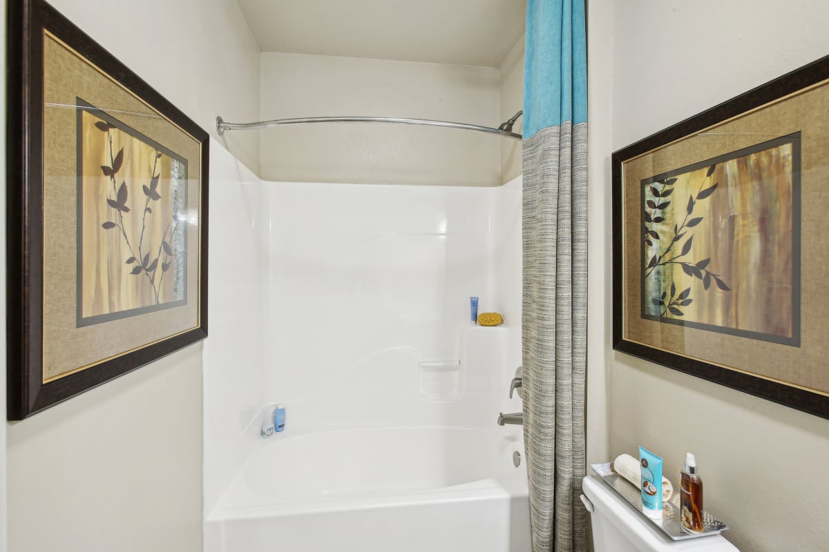 a bathroom with a shower and a toilet and pictures on the wall