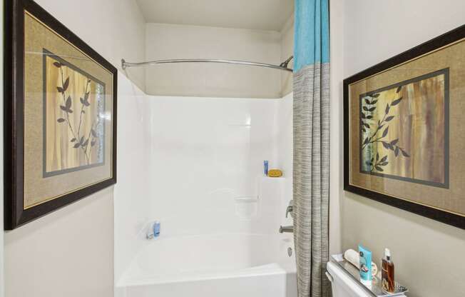 a bathroom with a shower and a toilet and pictures on the wall