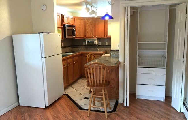 Studio, 1 bath, 250 sqft, $1,245, Unit 107