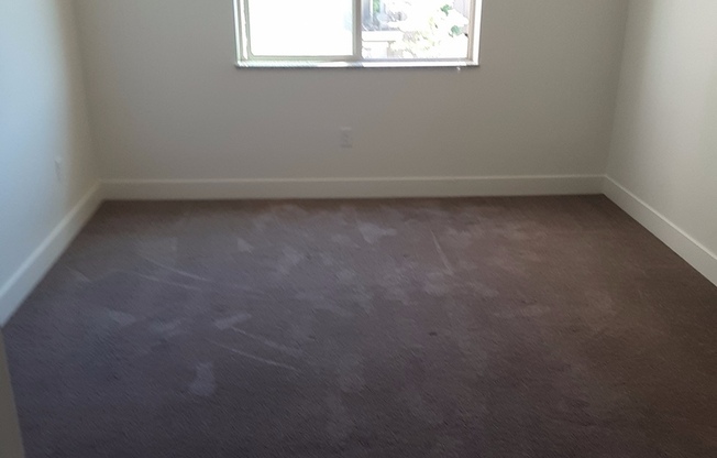 1 bed, 1 bath, 705 sqft, $1,250, Unit 312