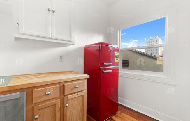 Studio, 1 bath, $1,595, Unit Unit #204