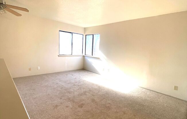 1 bed, 1 bath, 686 sqft, $849