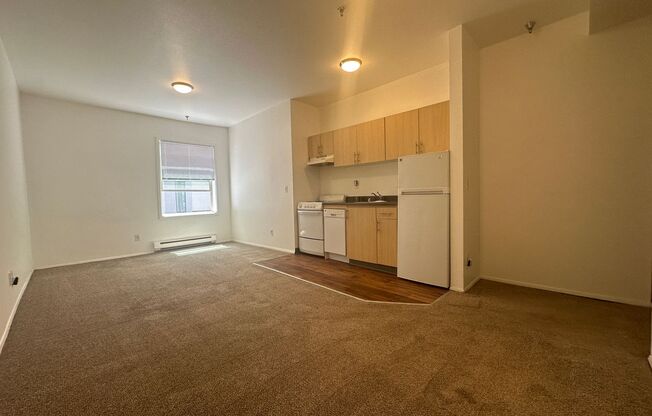 Studio, 1 bath, 315 sqft, $1,200