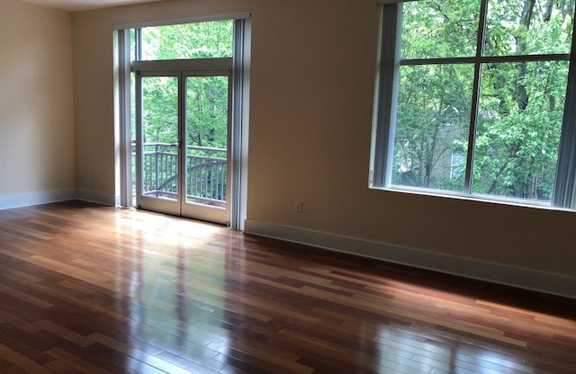 1 Bedroom in NoDa!
