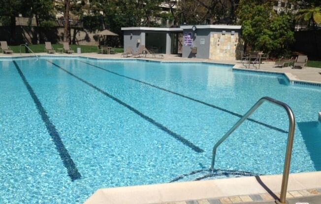 Studio, 1 bath, 481 sqft, $2,250, Unit 1209