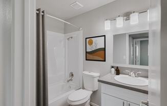 a bathroom with a shower toilet and sink
