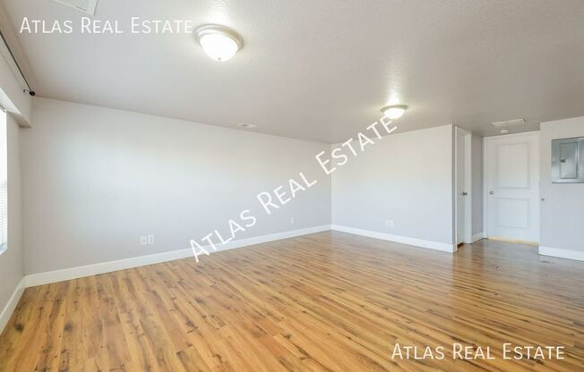 1 bed, 1 bath, 600 sqft, $1,175