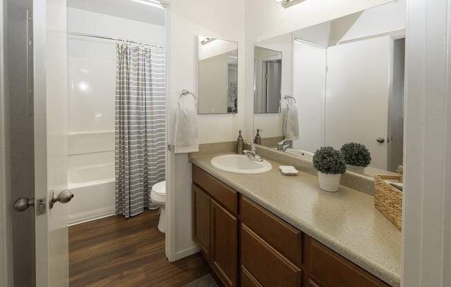 Luxurious Bathrooms at Eucalyptus Grove Apartments, Chula Vista