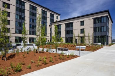 2 beds, 2 baths, 1,102 sqft, $2,375