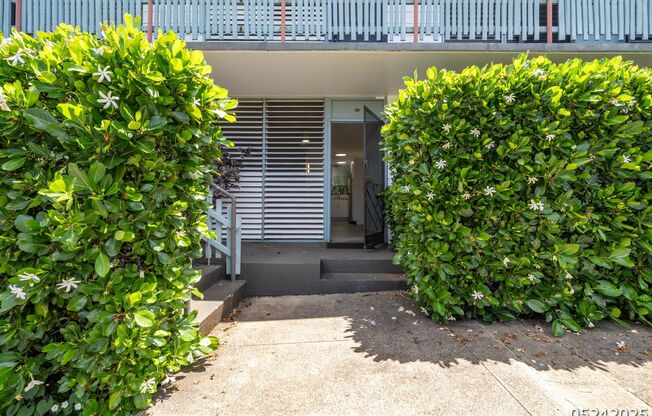 RECENTLY RENOVATED GROUND FLOOR PUALEI CIRCLE STUDIO!