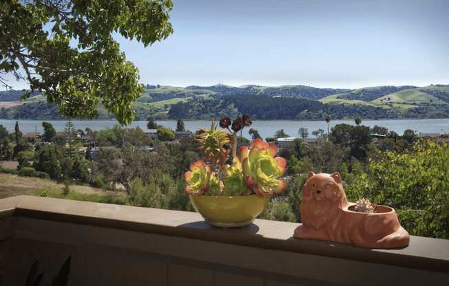 Water view from resident's patio at Club Pacifica, Benicia, CA