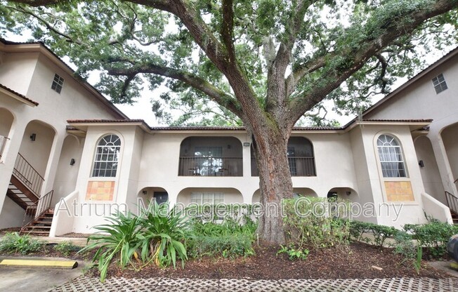 611 E. Amelia Street