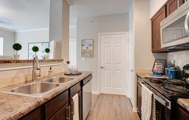 Granite Countertop Kitchen at The Brazos, Dallas, 75287