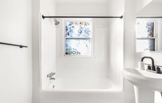 Studio, 1 bath, 540 sqft, $2,000, Unit 409