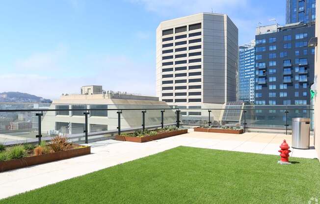 A red fire hydrant sits on a green lawn.