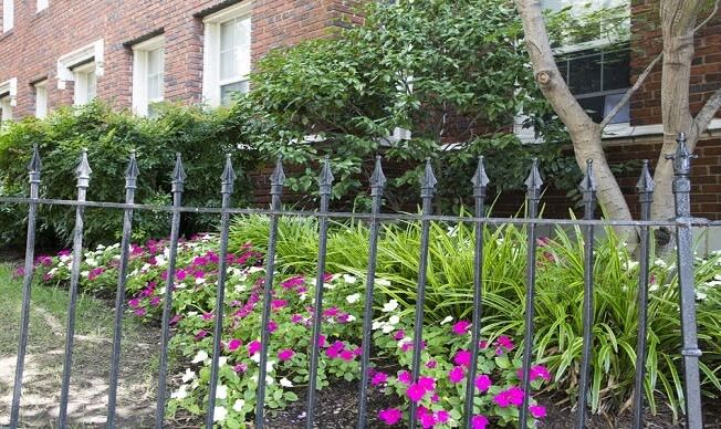 a garden of flowers behind a wrought iron fence
