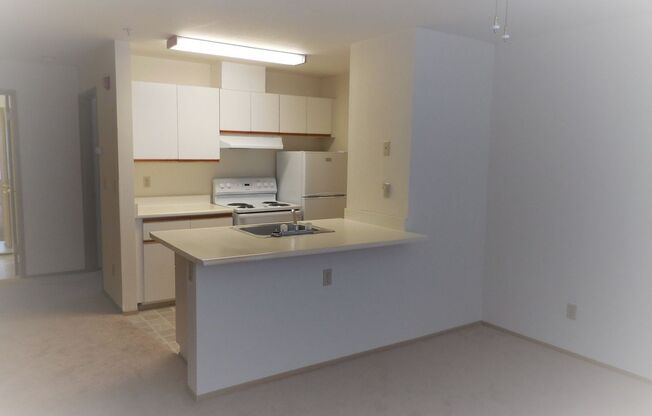 Studio, 1 bath, 462 sqft, $1,295, Unit 305