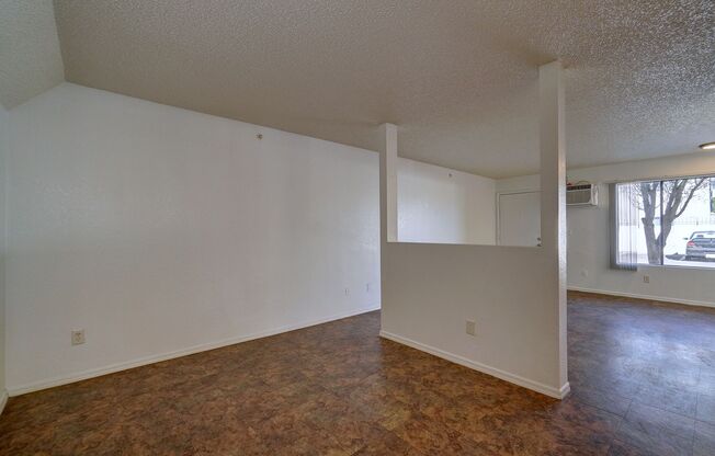 Studio, 1 bath, 494 sqft, $600, Unit 110