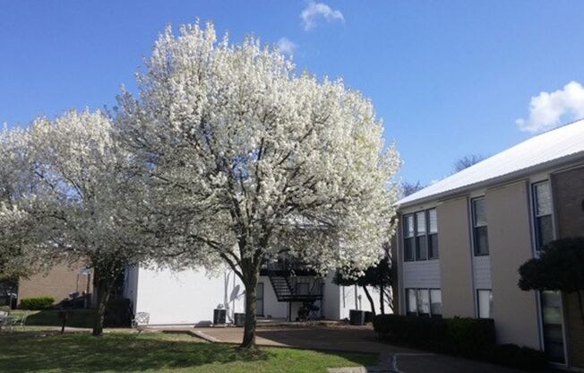 A10 at 246 White Bridge Pike, Nashville TN 37209
