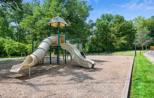 a playground with a slide in a park