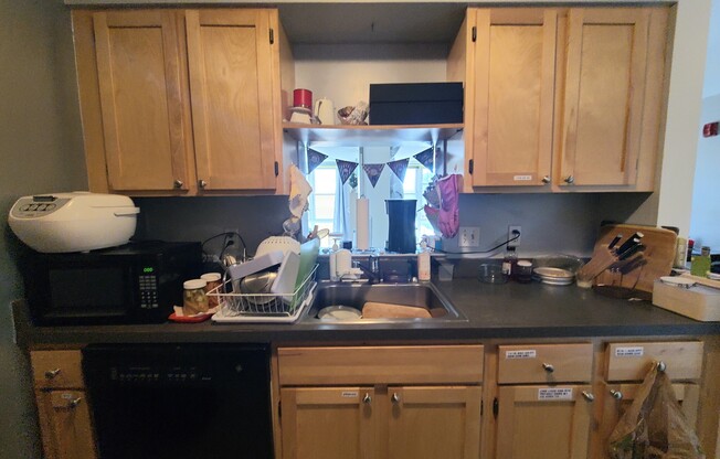 113 SUMNER ST