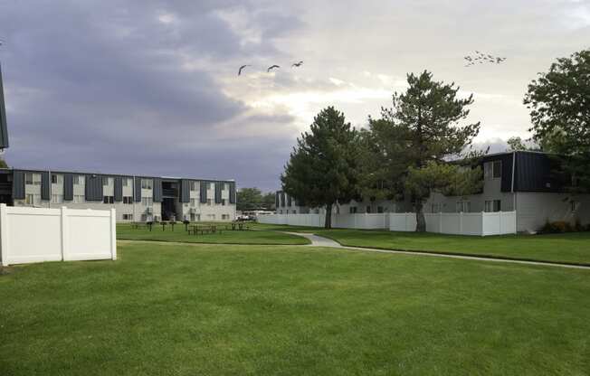 a flock of birds flying over an open field in front of a row of apartments