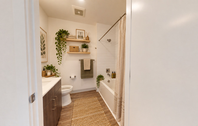 Studio, 1 bath, 287 sqft, $1,247, Unit 419