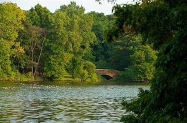 1 bed, 1 bath, 655 sqft, $2,600, Unit 703