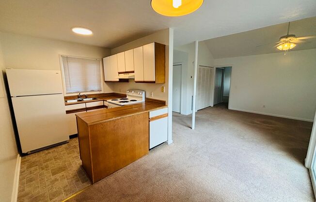 1152DM - 1425/1427 Sandy Circle- M